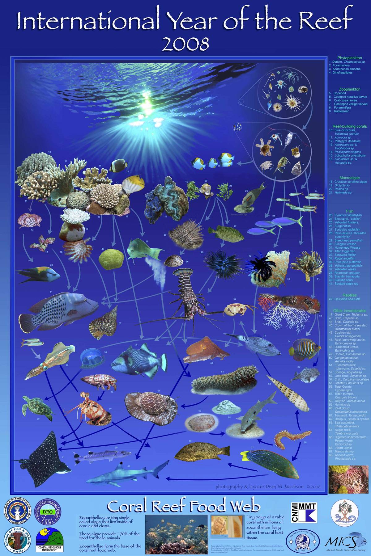 Scuba Photo Page